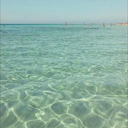 Dgs 2* Trapani