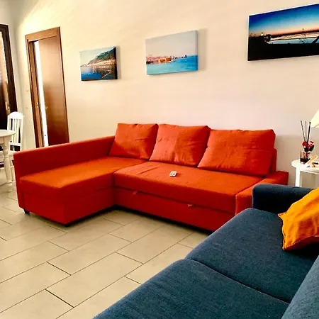 Dgs * Trapani