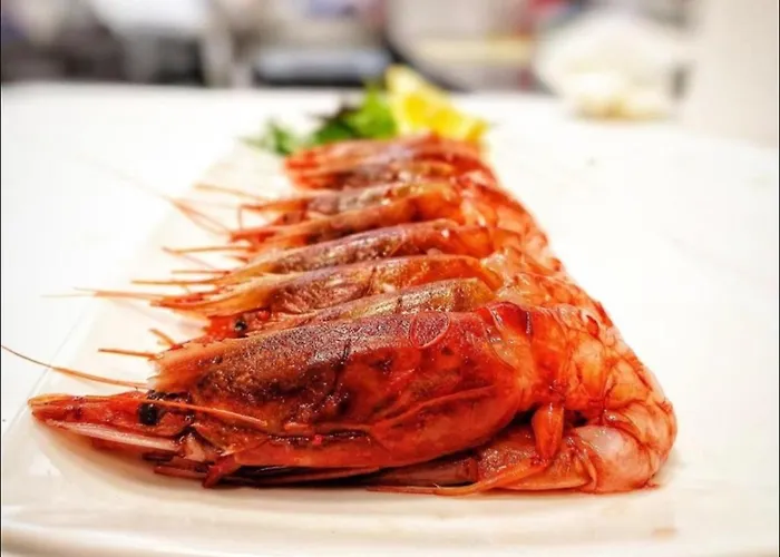 Dgs 公寓 特拉帕尼