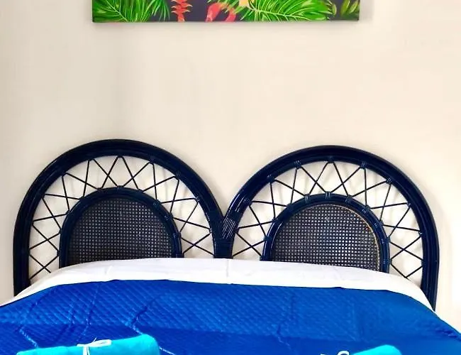 Apartment Dgs